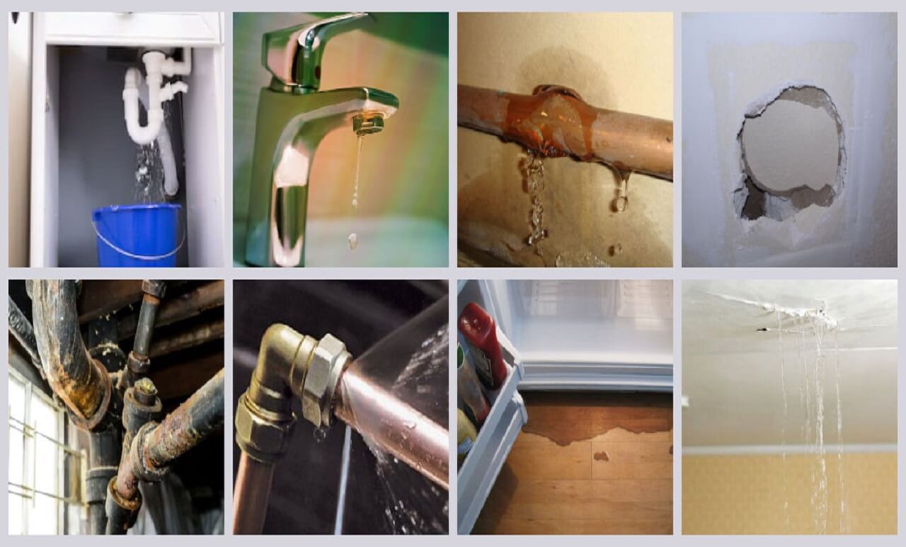 Trace And Access Plumbers-total-home-repair Trace And Access Plumbers-total-home-repair