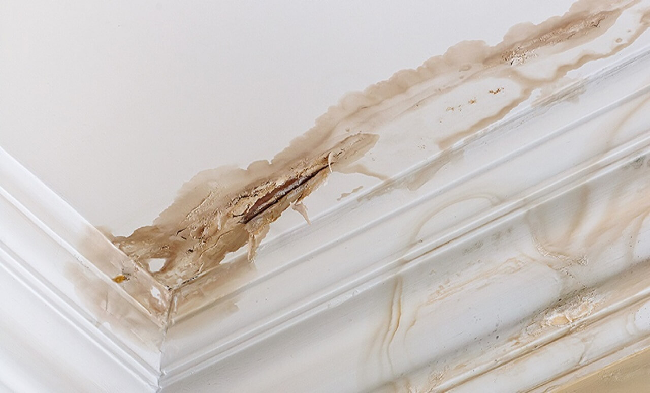 Cornice-repairs-Edinburgh-Total-Home-Repair